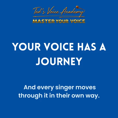 Illustration of the five stages of a singer's vocal journey