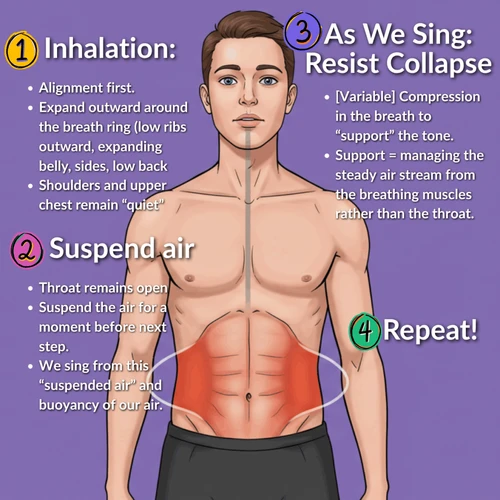 Illustration of breath support and vocal compression for singers